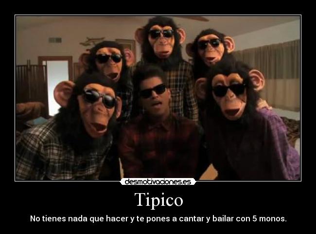 Tipico - No tienes nada que hacer y te pones a cantar y bailar con 5 monos.