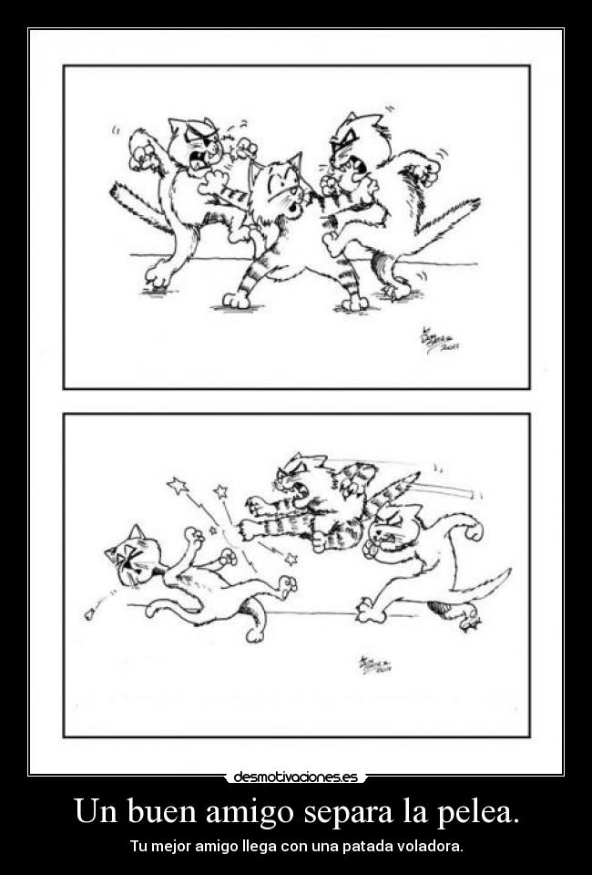 Un buen amigo separa la pelea. -