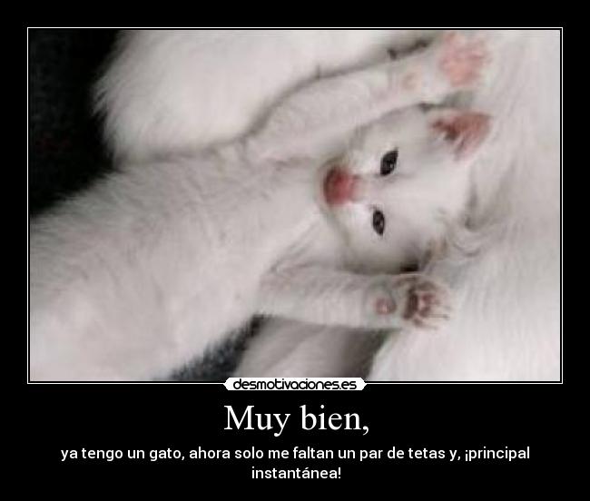 Muy bien, - ya tengo un gato, ahora solo me faltan un par de tetas y, ¡principal instantánea!