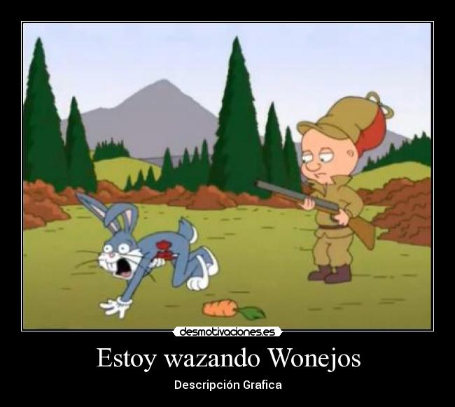 Estoy wazando Wonejos - Descripción Grafica