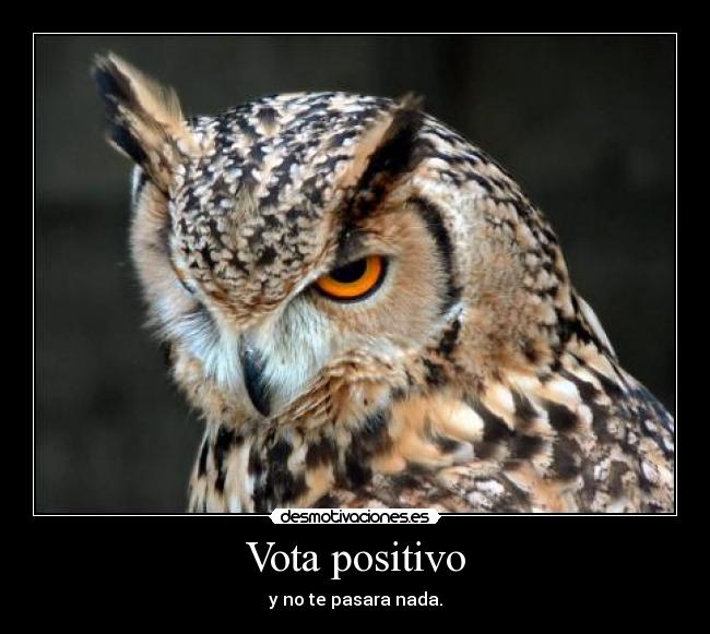 Vota positivo - 