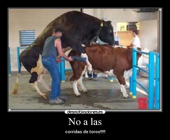 No a las - 