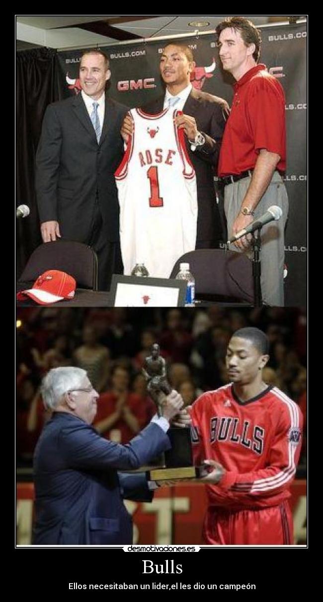 Bulls - Ellos necesitaban un lider,el les dio un campeón