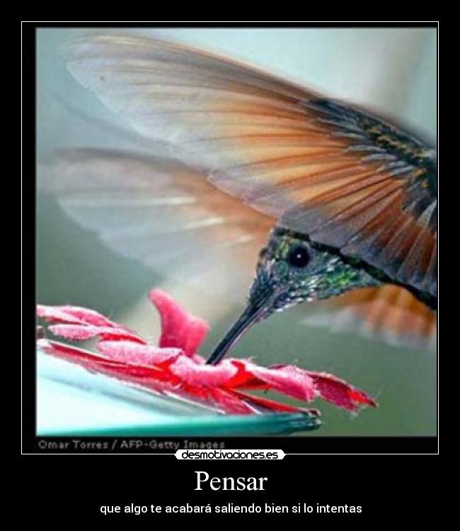 Pensar - que algo te acabará saliendo bien si lo intentas