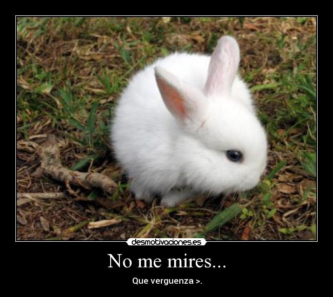 No me mires... - Que verguenza >.