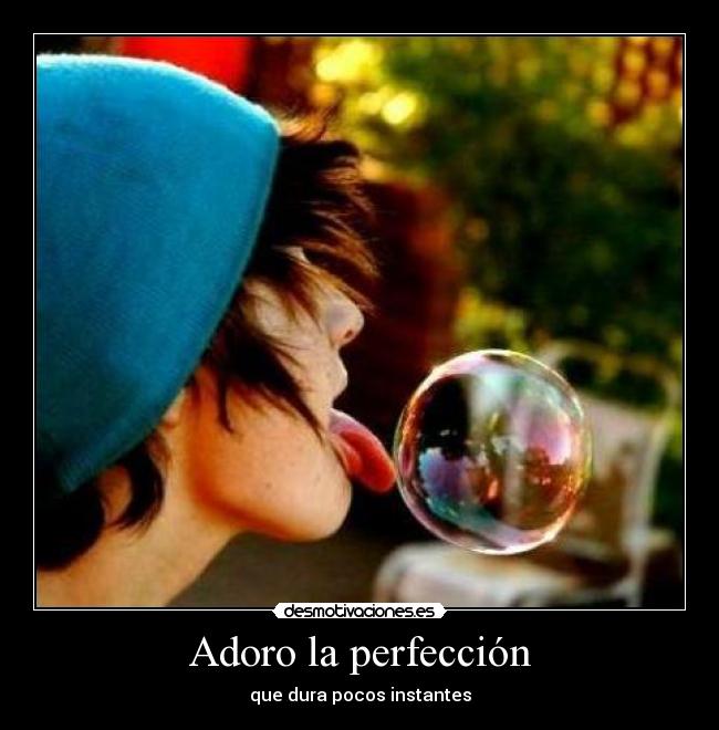 Adoro la perfección - 