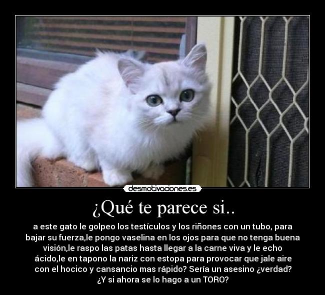 ¿Qué te parece si.. -