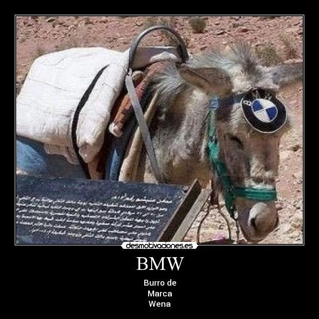 BMW -