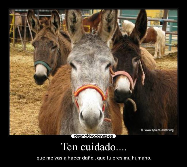 Ten cuidado.... - que me vas a hacer daño , que tu eres mu humano.