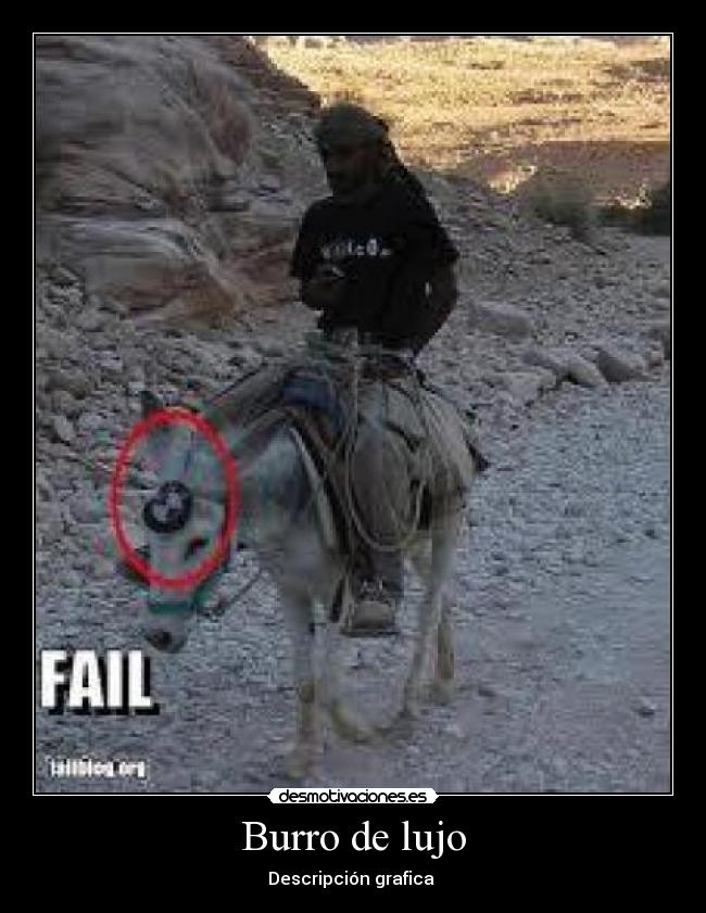 Burro de lujo - Descripción grafica