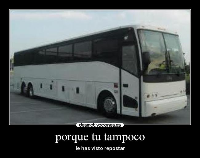porque tu tampoco - le has visto repostar