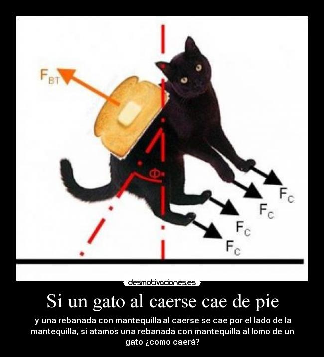 carteles gato-mantequilla-murphy-caida desmotivaciones