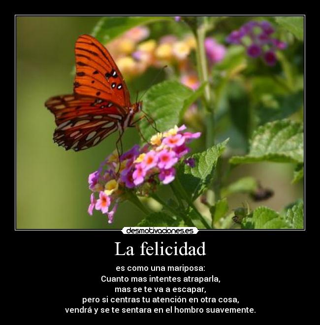 La felicidad - es como una mariposa:
Cuanto mas intentes atraparla,
mas se te va a escapar,
pero si centras tu atención en otra cosa,
vendrá y se te sentara en el hombro suavemente.