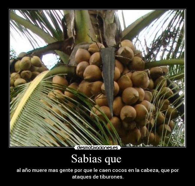 Sabias que  - 