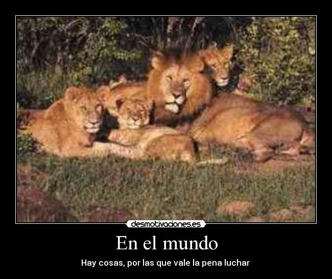 En el mundo - Hay cosas, por las que vale la pena luchar