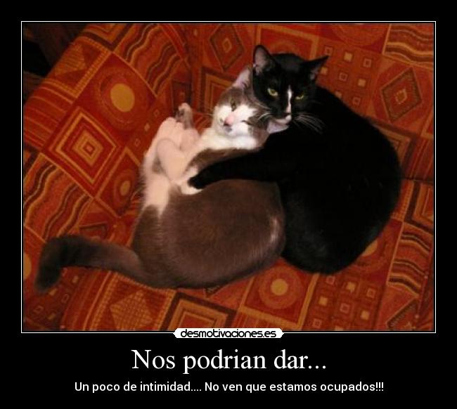 Nos podrian dar... -