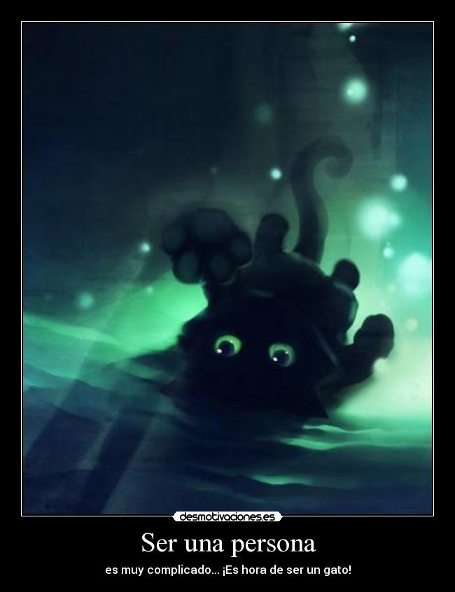 Ser una persona - es muy complicado... ¡Es hora de ser un gato!
