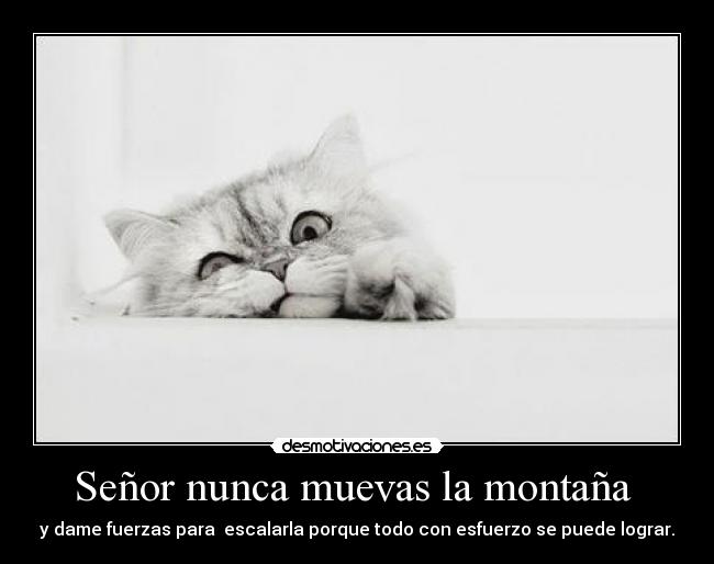 Señor nunca muevas la montaña - y dame fuerzas para escalarla porque todo con esfuerzo se puede lograr.