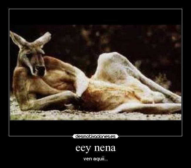 eey nena - ven aquii...