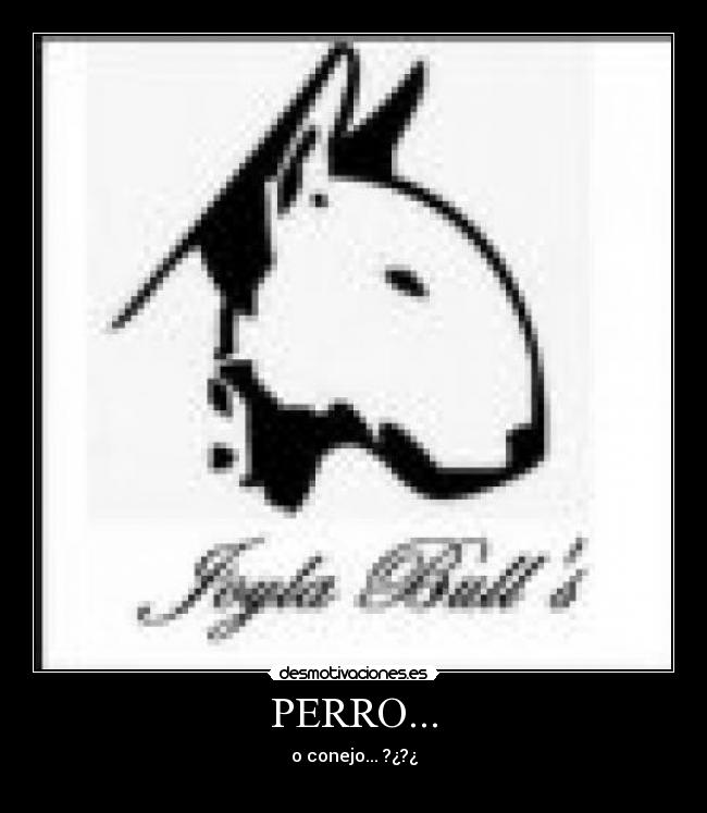 PERRO... - 