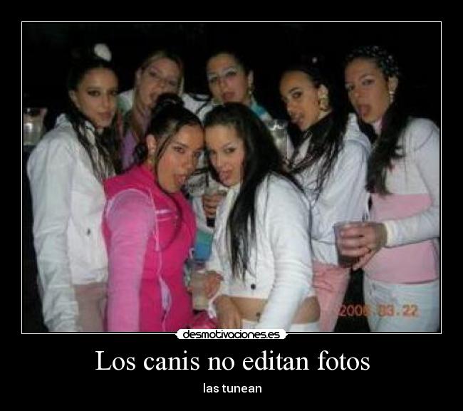 Los canis no editan fotos -
