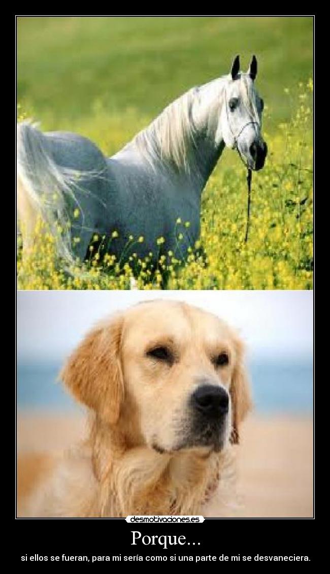 Porque... - si ellos se fueran, para mi sería como si una parte de mi se desvaneciera.