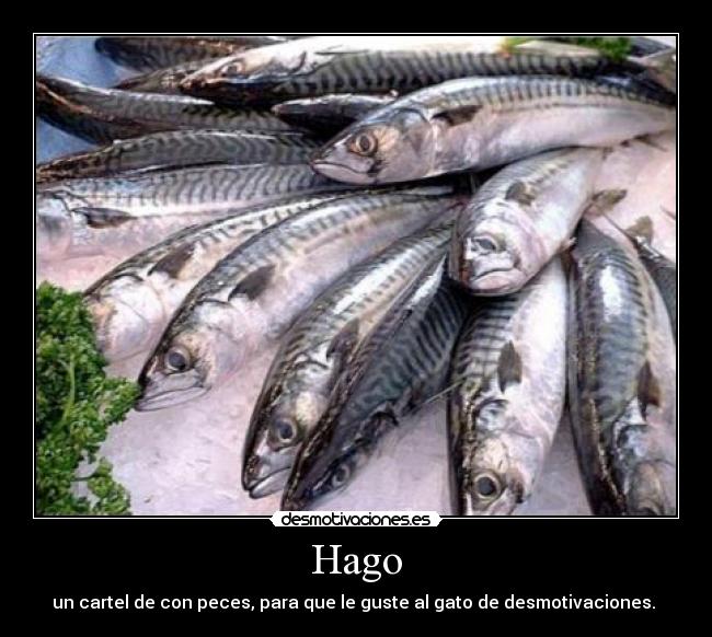 Hago - un cartel de con peces, para que le guste al gato de desmotivaciones. 