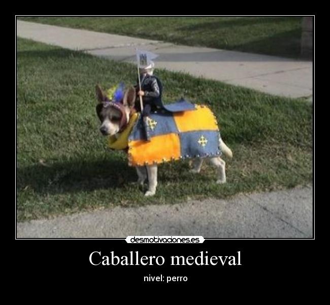 Caballero medieval - nivel: perro
