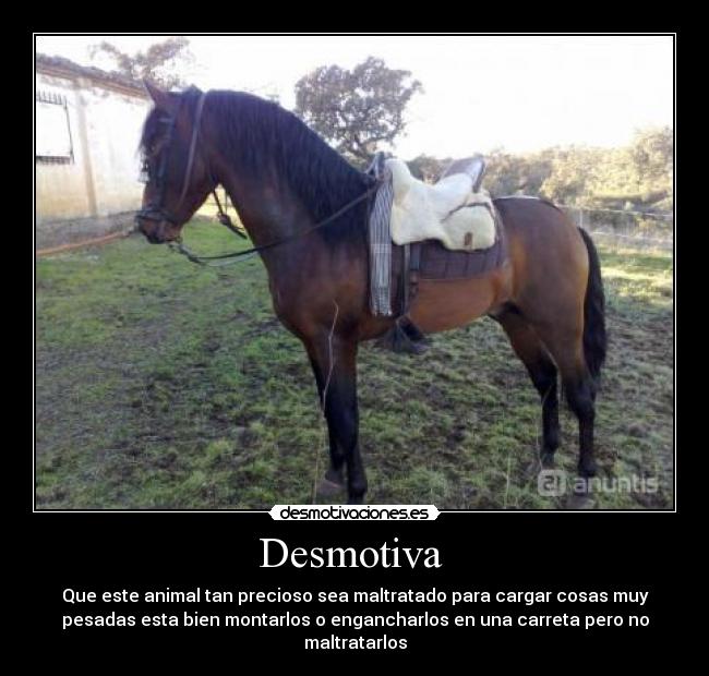 Desmotiva - Que este animal tan precioso sea maltratado para cargar cosas muy
pesadas esta bien montarlos o engancharlos en una carreta pero no
maltratarlos