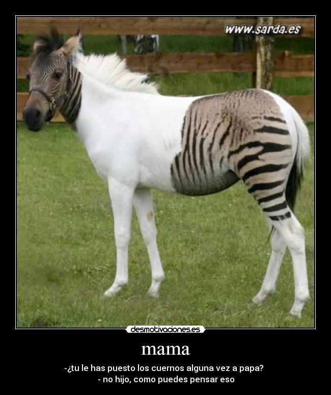 mama - -¿tu le has puesto los cuernos alguna vez a papa?  
- no hijo, como puedes pensar eso