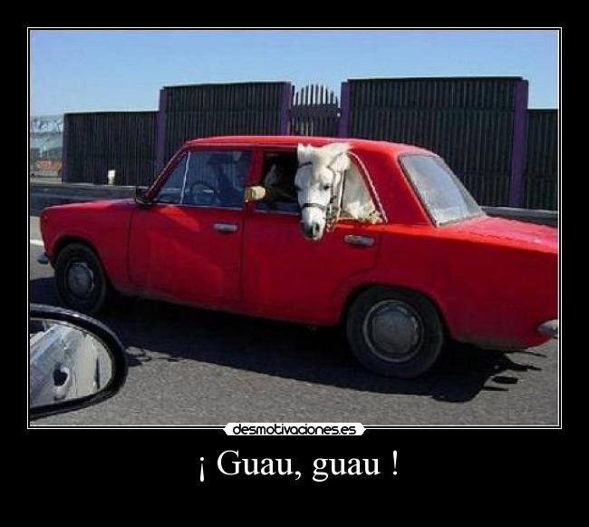 ¡ Guau, guau ! -