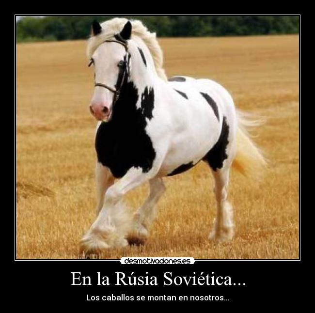 En la Rúsia Soviética... - Los caballos se montan en nosotros...