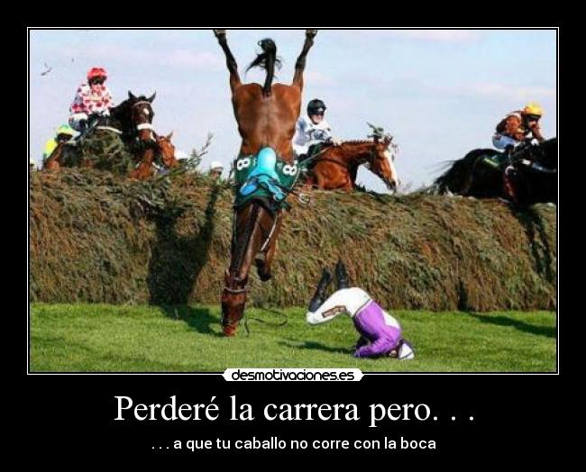 carteles caballo desmotivaciones