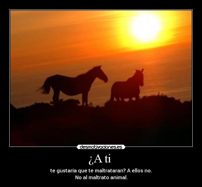 ¿A ti - te gustaría que te maltrataran? A ellos no.
No al maltrato animal.