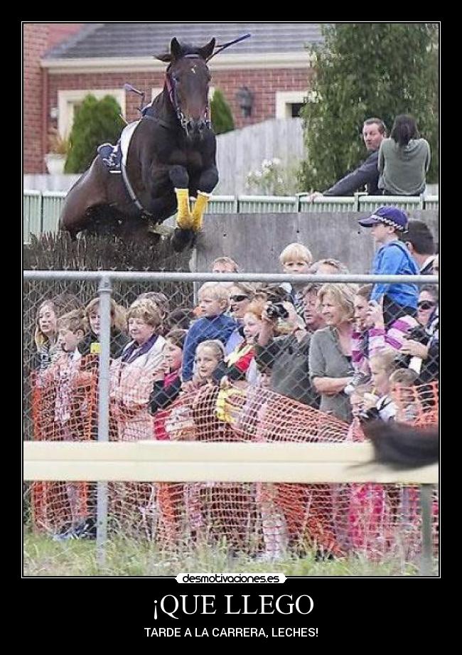 ¡QUE LLEGO -
