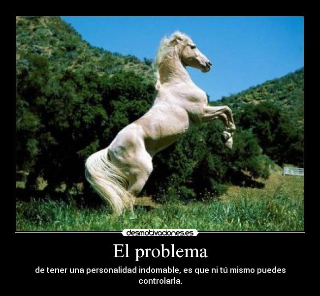 El problema - de tener una personalidad indomable, es que ni tú mismo puedes controlarla.