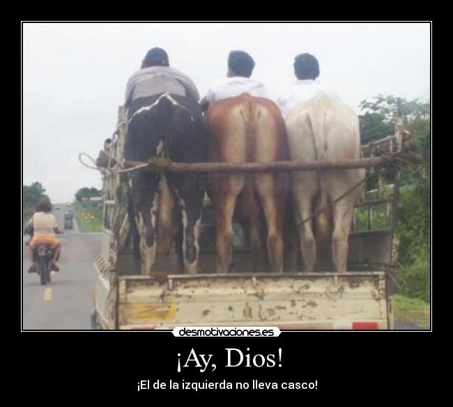 carteles dios centauros casco desmotivaciones