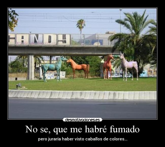 No se, que me habré fumado - 