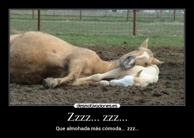 Zzzz... zzz... - 