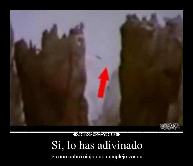 Si, lo has adivinado - es una cabra ninja con complejo vasco