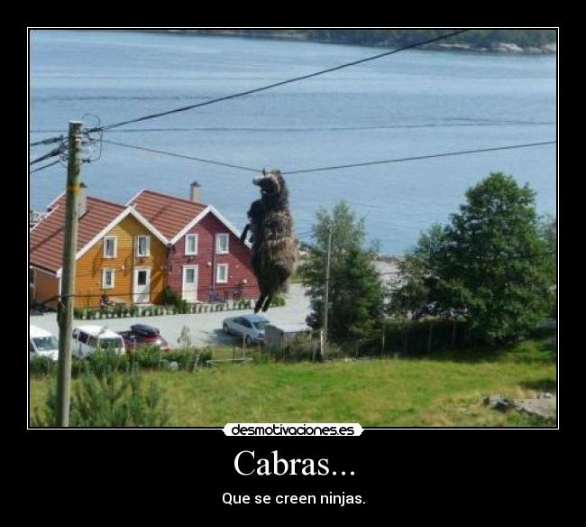 Cabras... - Que se creen ninjas.