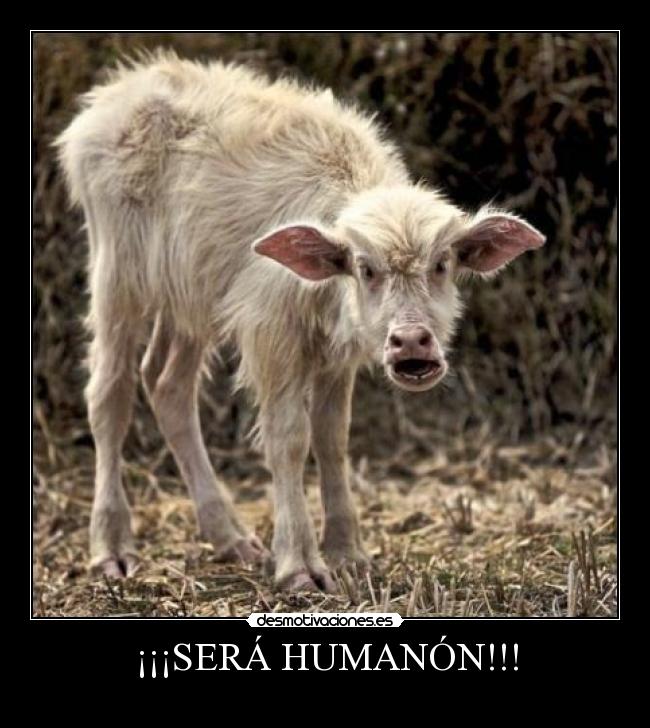 ¡¡¡SERÁ HUMANÓN!!! - 
