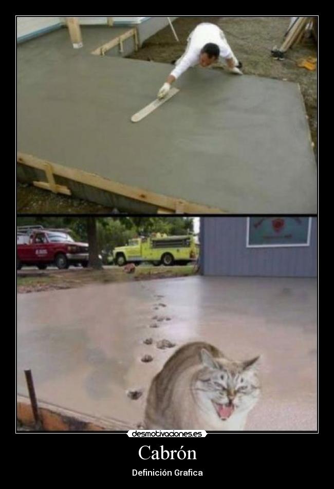 Cabrón - Definición Grafica