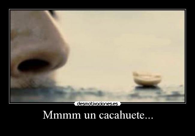 carteles piratas del caribe jack sparrow cacahuete desmotivaciones