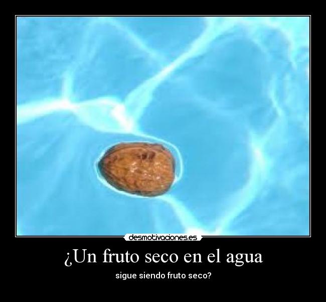 ¿Un fruto seco en el agua -