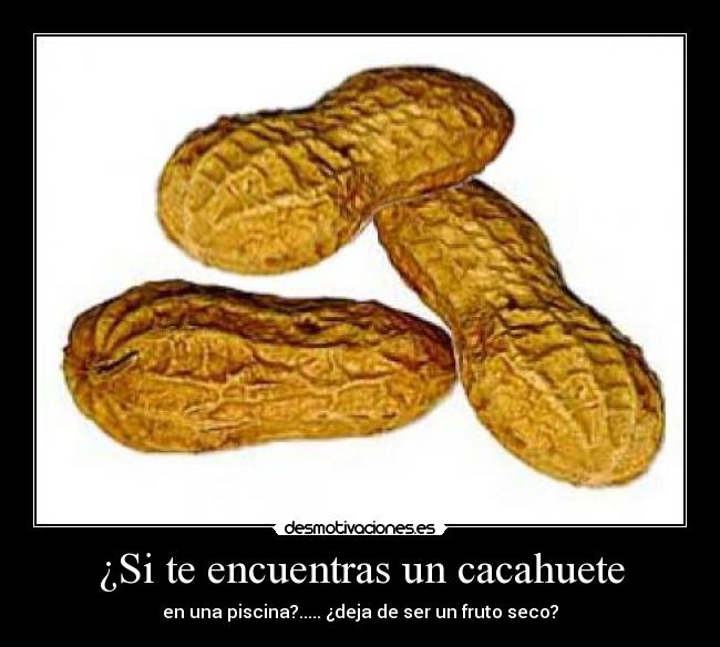 ¿Si te encuentras un cacahuete - 