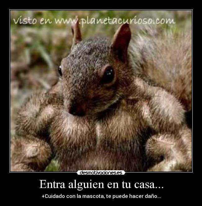 Entra alguien en tu casa... - +Cuidado con la mascota, te puede hacer daño...