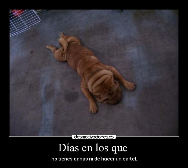 Días en los que  - no tienes ganas ni de hacer un cartel.