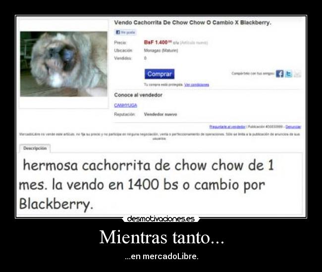 Mientras tanto... - ...en mercadoLibre.