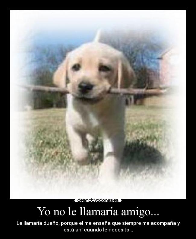 Yo no le llamaría amigo... - 